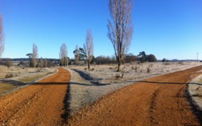 Six Weeks in Walcha
