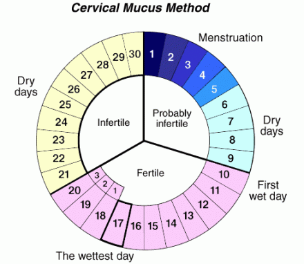 Cervucal Mucus Method