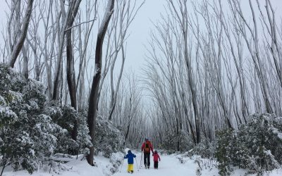 Emotions of Winter